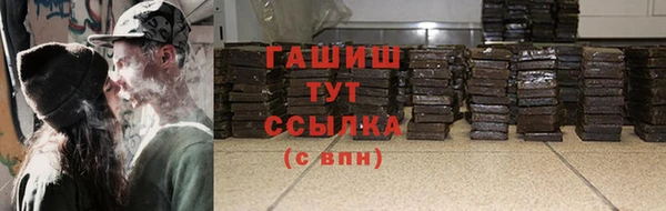 индика Алзамай