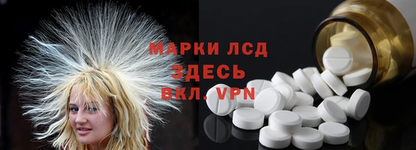 индика Алзамай