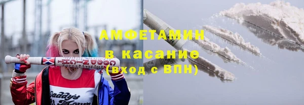индика Алзамай