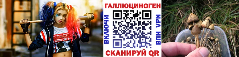 Галлюциногенные грибы Magic Shrooms  Майкоп 